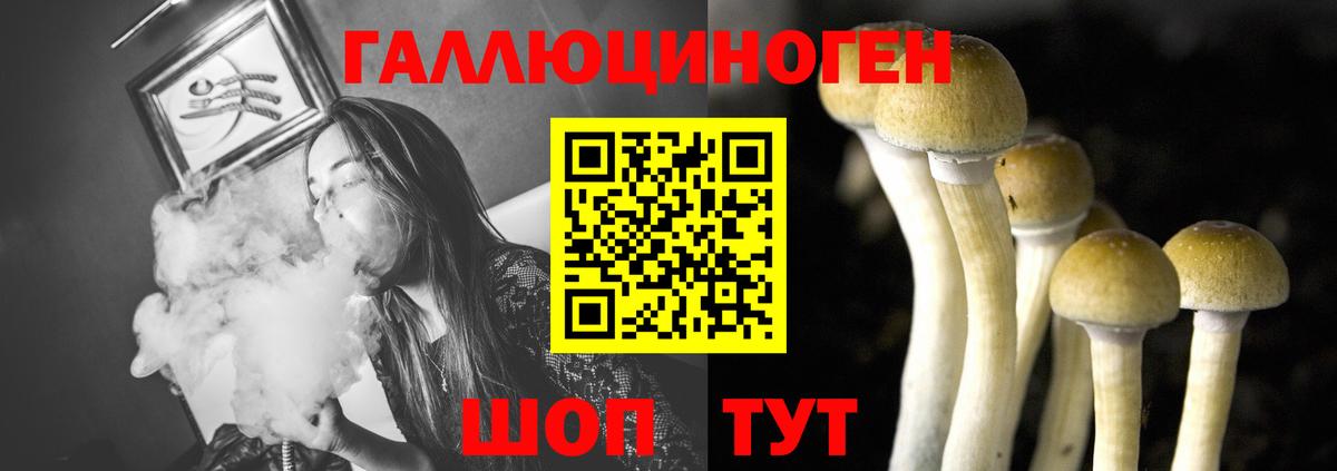 Псилоцибиновые грибы Psilocybe Нурлат
